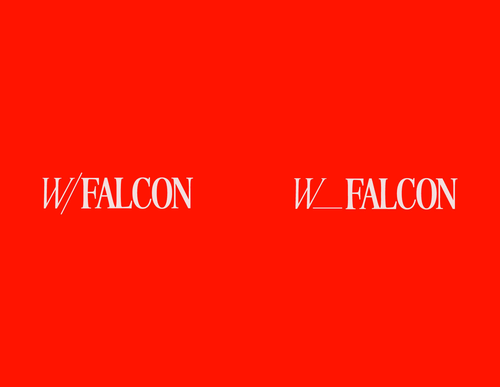 With-Falcon6